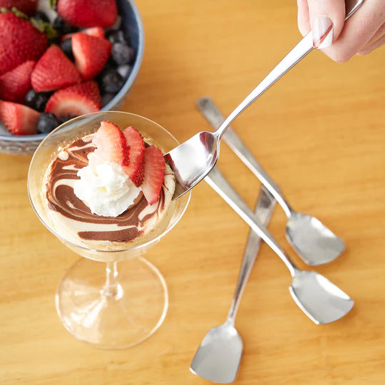 RS-ICS-4 ICE CREAM SPOON SET/4