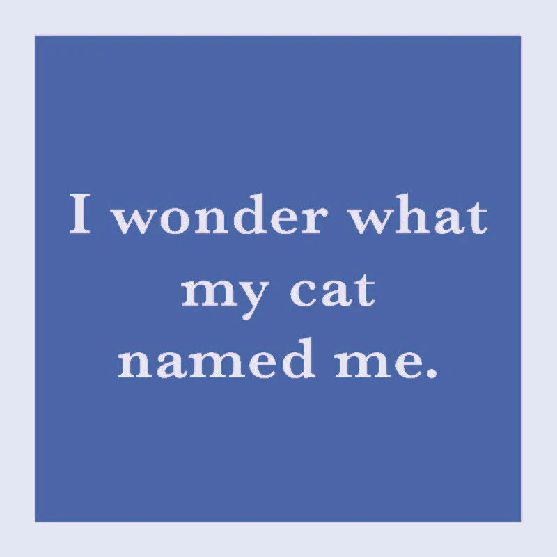 DOM-1072 COASTER cat named me