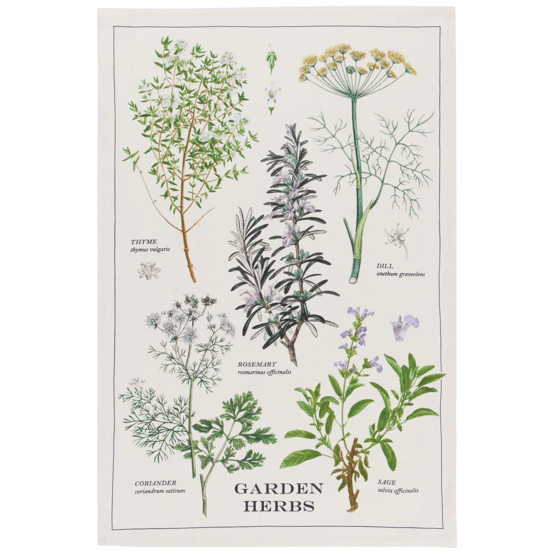 DAN-2177348 TT GARDEN HERBS