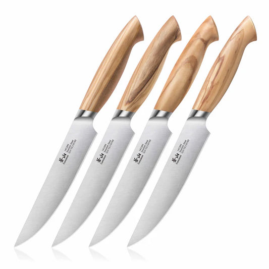 CS-501653 OLIV 4 PC STEAK KNIFE SET