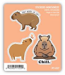 SN-MT-027 CAPYBARA TRIO 12