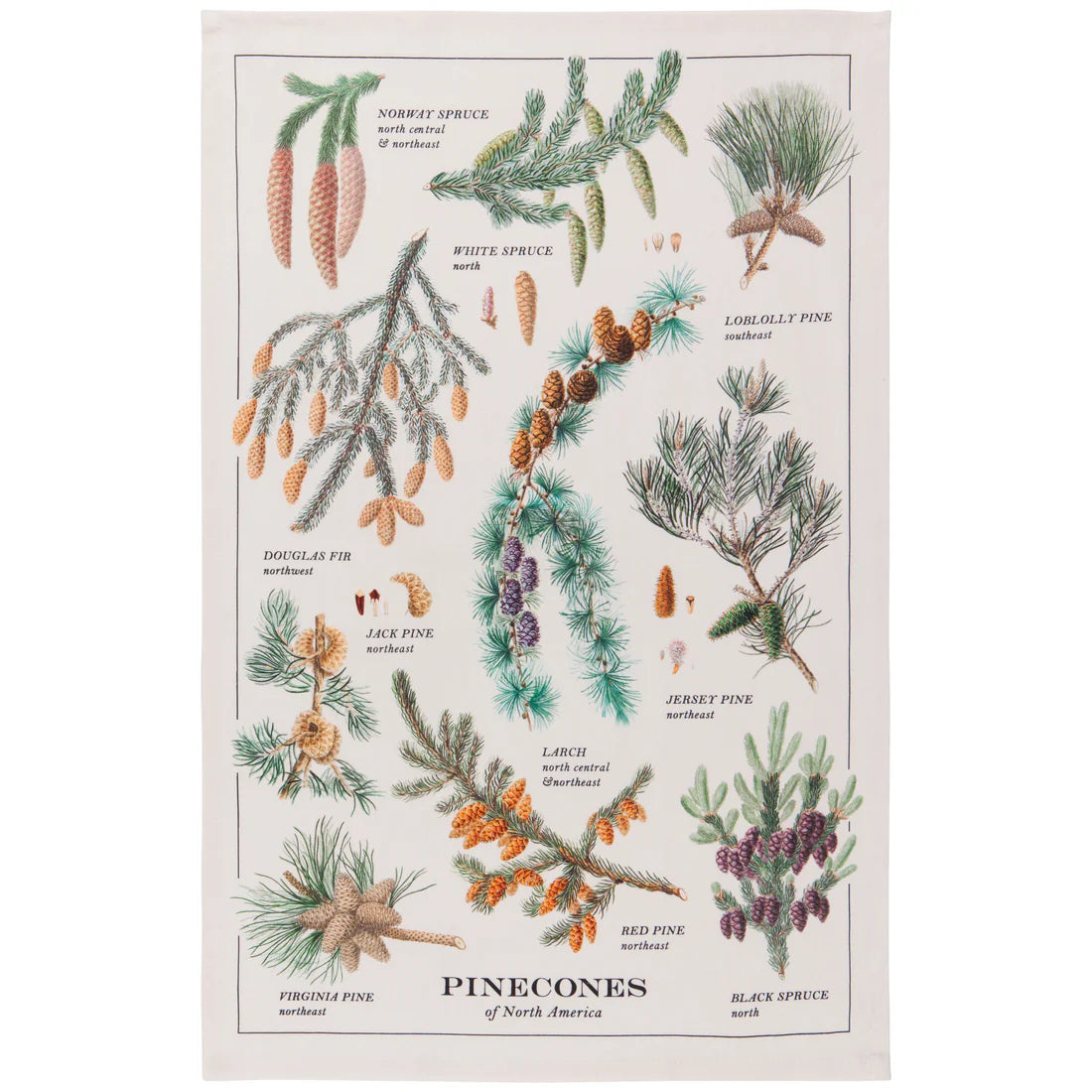 DAN-NKT2387D TT PINECONES