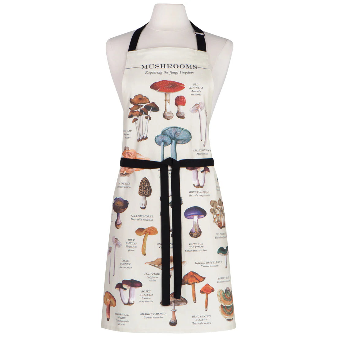 DAN-NAP3623D APRON FINE PRINT MUSHROOMS